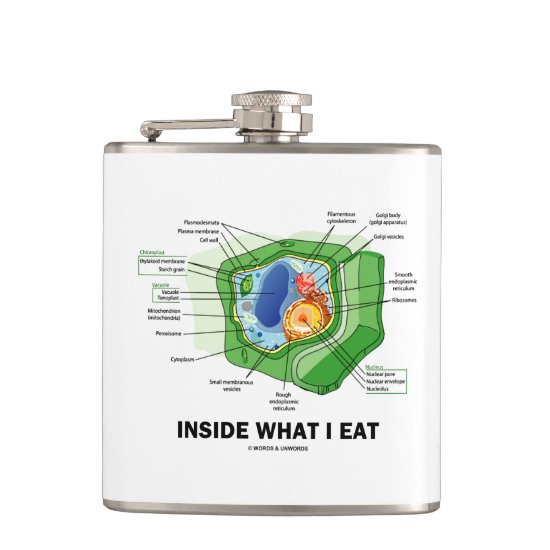 Inside What I Eat Plant Cell Vegetarian Humor Flask