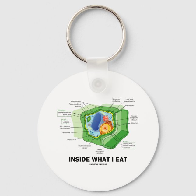 Inside What I Eat (Plant Cell Vegetarian Humor) Keychain (Front)
