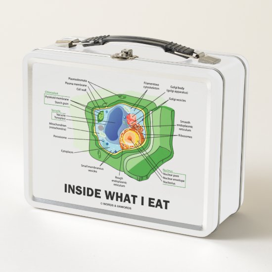 Inside What I Eat Plant Cell Vegetarian Humor Metal Lunch Box
