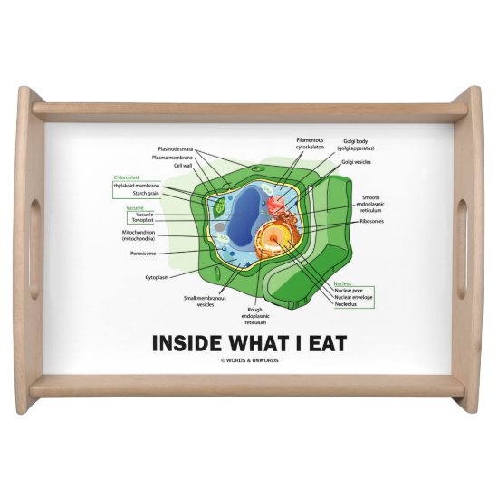 Inside What I Eat Plant Cell Vegetarian Humor Serving Tray