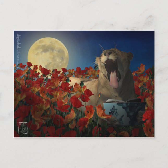 Insomnia Postcard (Front)