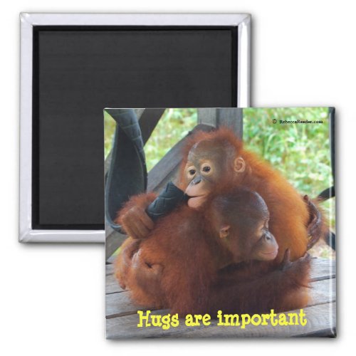 Inspiration from Babies Hugs Are Important Magnet