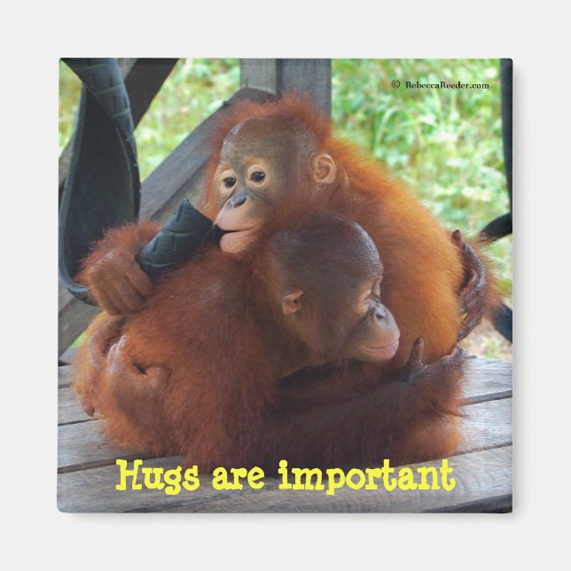 Inspiration from Babies: Hugs Are Important Magnet (Front)