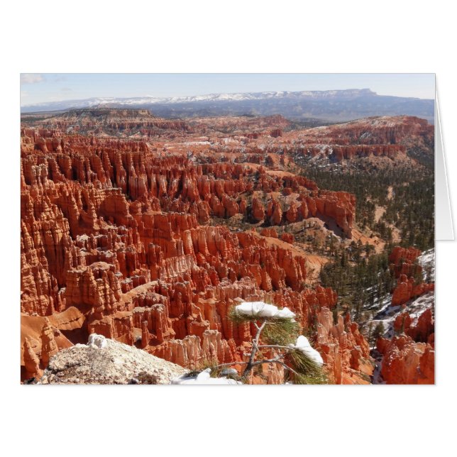 Inspiration Point at Bryce Canyon I Card (Front Horizontal)