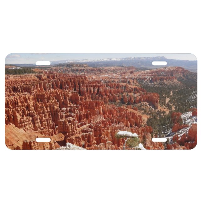 Inspiration Point at Bryce Canyon I License Plate (Front)