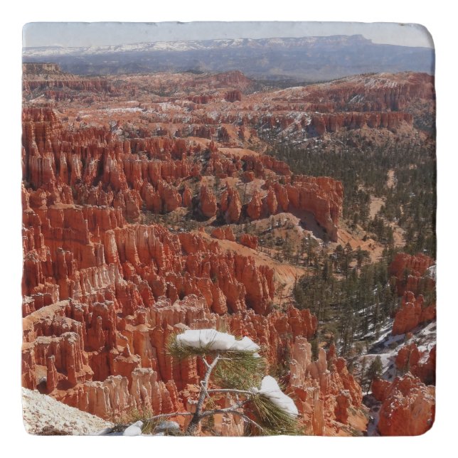Inspiration Point at Bryce Canyon I Trivet (Front)