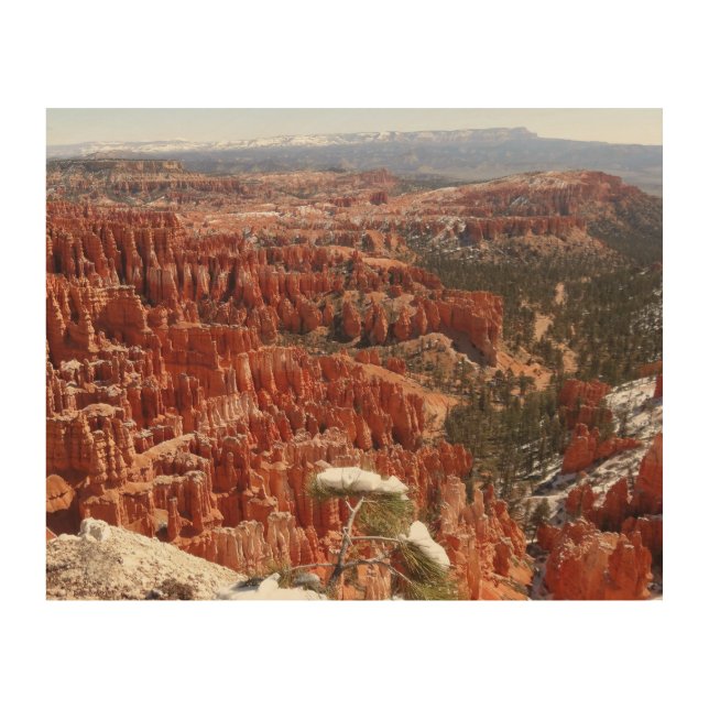 Inspiration Point at Bryce Canyon I Wood Wall Art (Front)