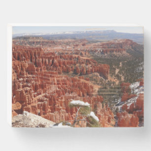 Inspiration Point at Bryce Canyon I Wooden Box Sign