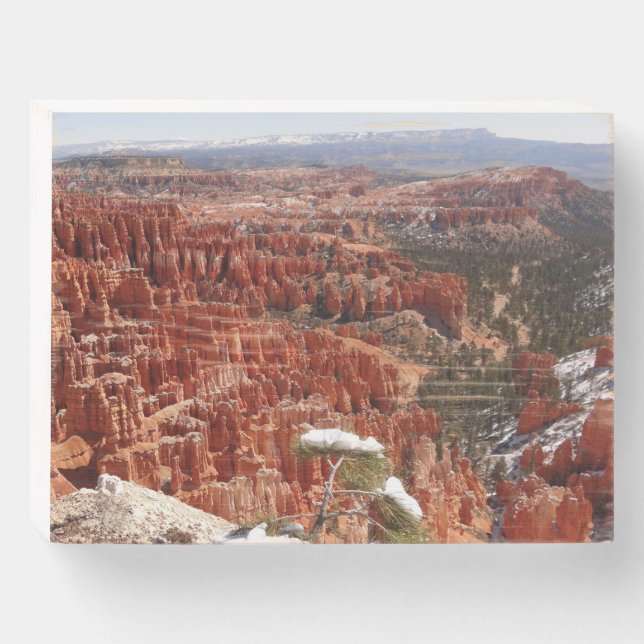 Inspiration Point at Bryce Canyon I Wooden Box Sign (Front Horizontal)