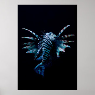 Inspiration Poster