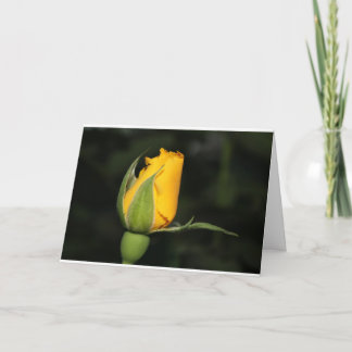 Inspiration rose card with bible verse