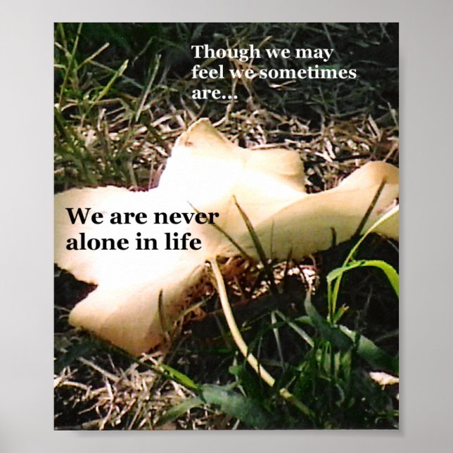 Inspiration Through Nature Poster (Front)