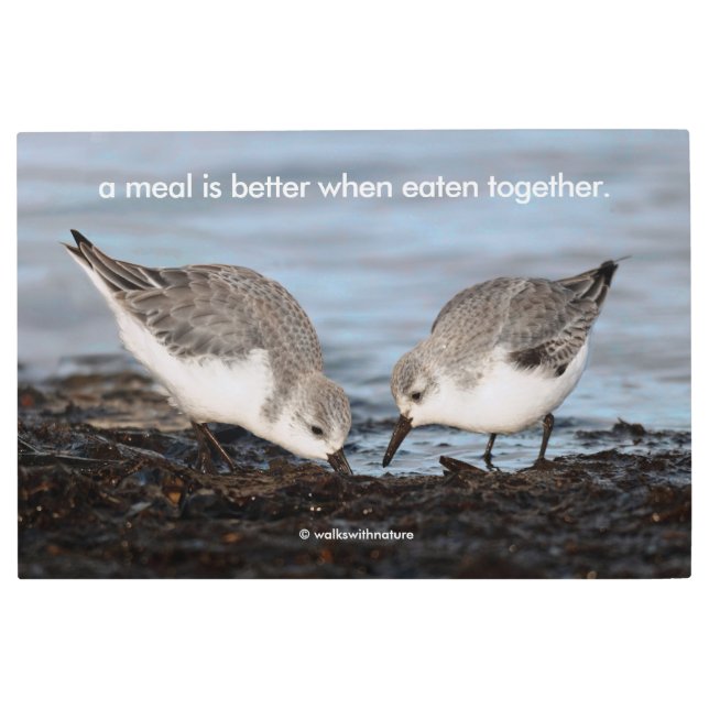 Inspirational "A Meal is Better ..." Sanderlings Metal Print (Front)
