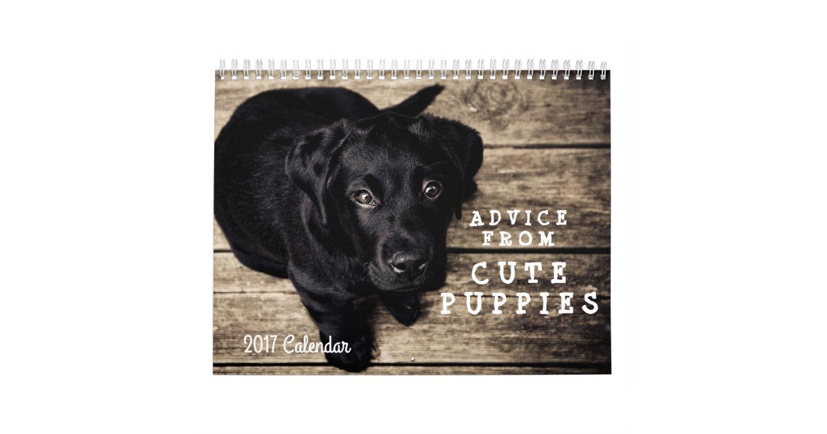 Inspirational Advice From Cute Puppy Dogs 2018 Calendar Zazzle