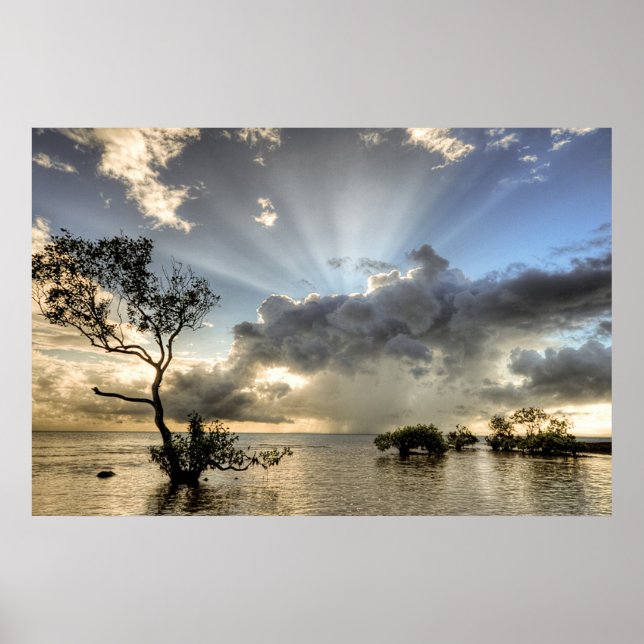 Inspirational and Calming Poster (Front)