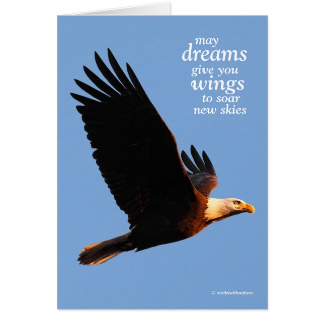 Inspirational Bald Eagle in Winter Sunset Flight Cards (Front)