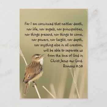 Inspirational Bible Scripture Quote Romans 8:38  Postcard by christianitee at Zazzle