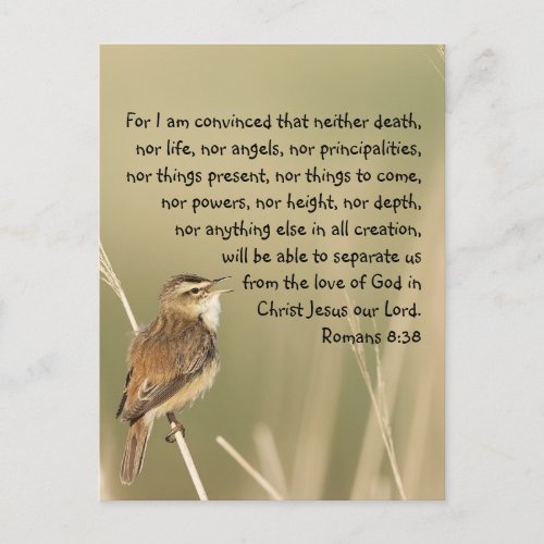 Inspirational Bible Scripture Quote Romans 838  Postcard