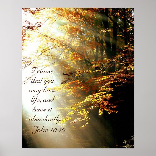 Inspirational Bible Verse John 10 10 Fall Leaves Poster