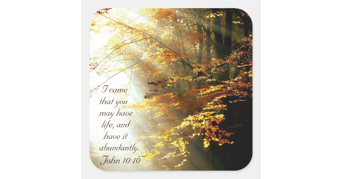 inspirational bible verse john 10 10 fall trees square