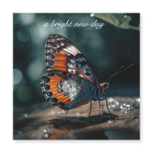 Inspirational Butterfly Bright New Day Custom