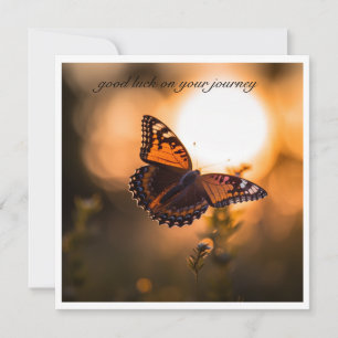 Inspirational Butterfly Sunset Good Luck Journey