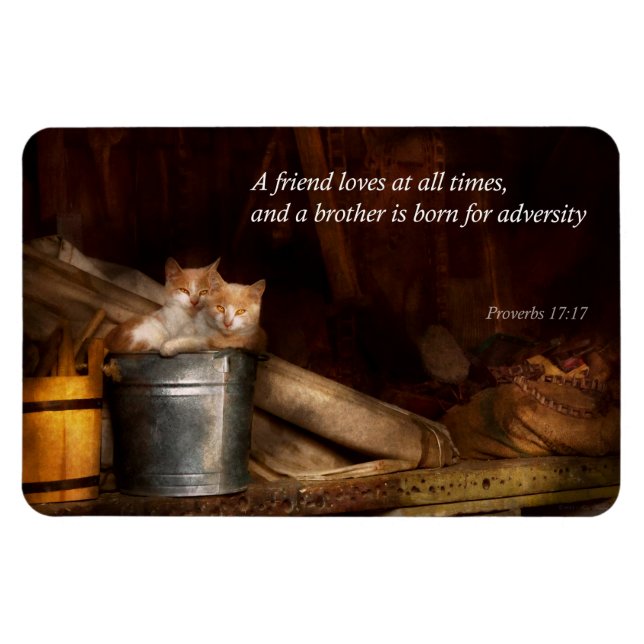 Inspirational - Cat - Bucket of fun Magnet (Horizontal)