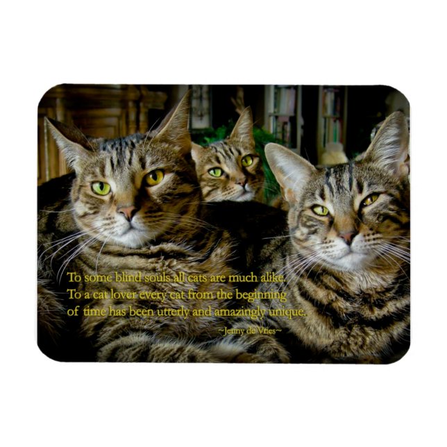 Inspirational Cat Magnet - All cats are unique (Horizontal)