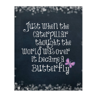 Inspirational Caterpillar Butterfly Quote Acrylic Print