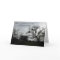 Inspirational Comfort Card: Oaks against gray sky