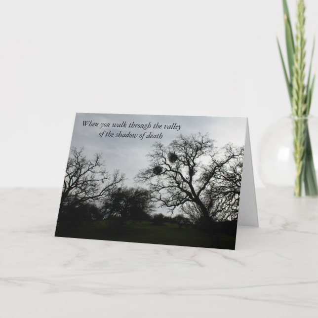 Inspirational Comfort Card: Oaks against gray sky Card (Front)