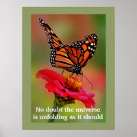 Inspirational Desiderata Quote with Butterfly