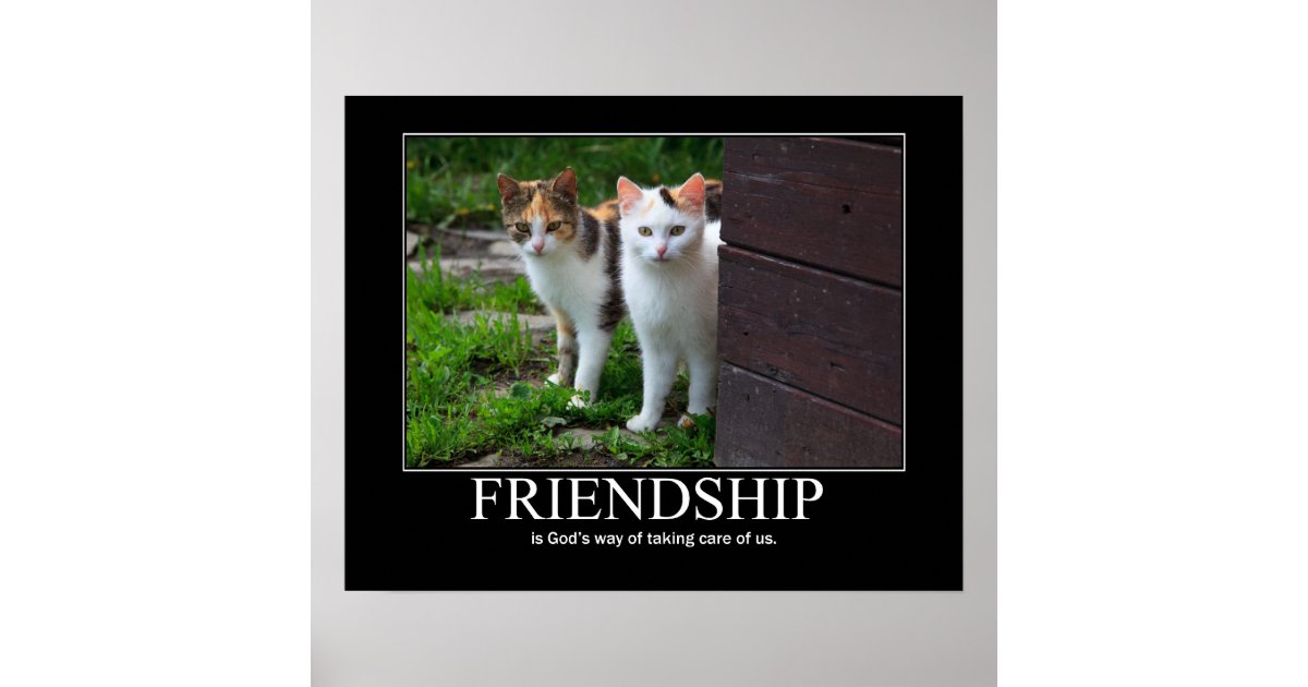 inspirational-friendship-cat-artwork-poster-zazzle