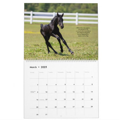 Inspirational Friesian Horse Calendar Zazzle