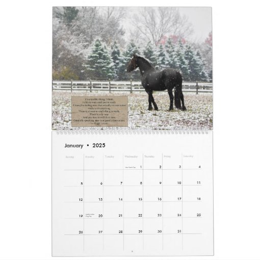 Inspirational Friesian Horse Calendar Zazzle