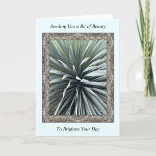 Inspirational Get Well Card with a Stunning Yucca