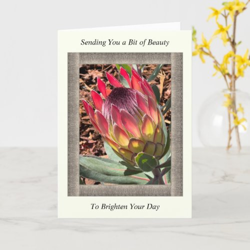 Inspirational Get Well Card with Beautiful Protea