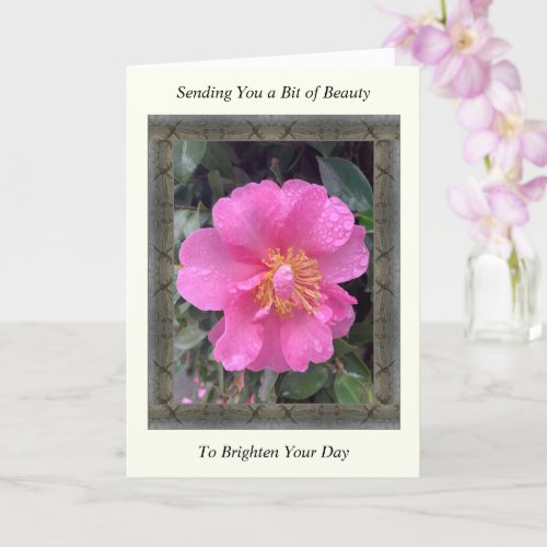 Inspirational Get Well Card with Pink Camellia