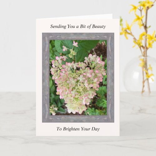 Inspirational Get Well Card with Pink Hydrangea