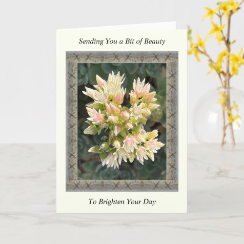 Inspirational Get Well Card with Succulent Flowers