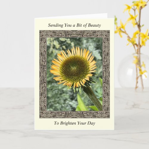 Inspirational Get Well Card with Young Sunflower