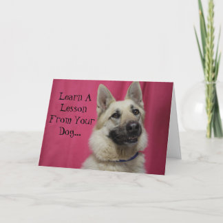 Inspirational Greeting Card for Dog Lovers