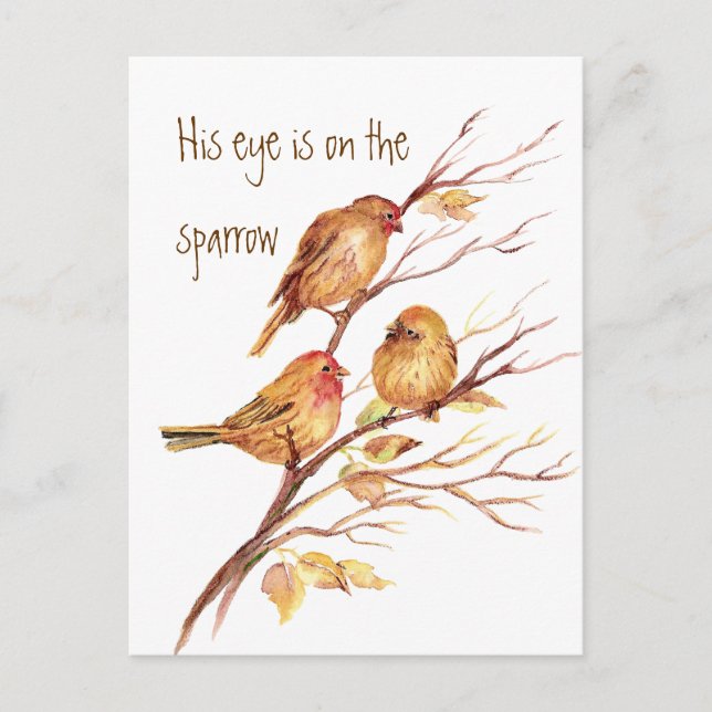 Inspirational His Eye is on the Sparrow, Postcard (Front)