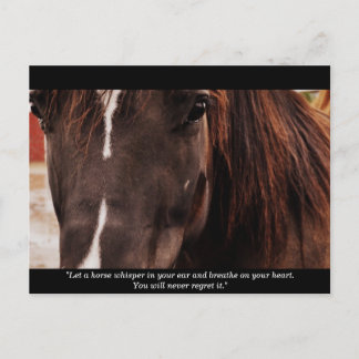 Inspirational Horse Postcard