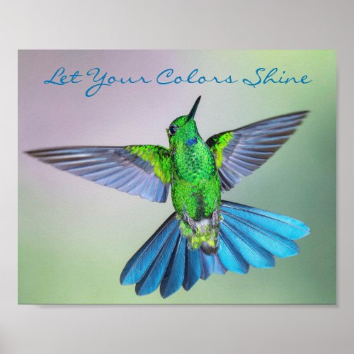 Inspirational Hummingbird Green and Blue Poster