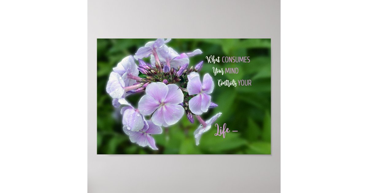 Inspirational Hydrangea Floral Quote Poster Zazzle