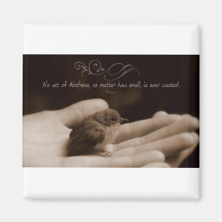 Inspirational Kindness Quote by Aesop Magnet