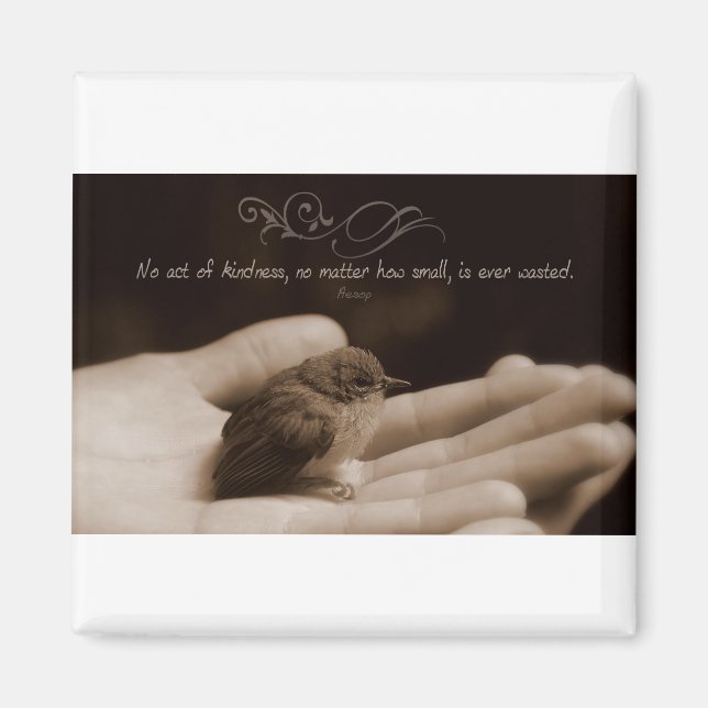 Inspirational Kindness Quote by Aesop Magnet (Front)