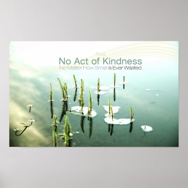 Inspirational Kindness Quote by Aesop Poster (Front)