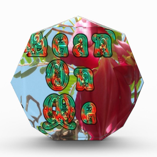 Inspirational Lean On Me Floral Skyward Art Print  Award (Front)